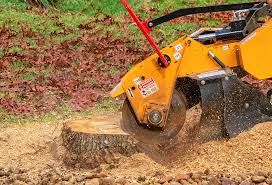 Best Storm Damage Tree Cleanup  in Llender, CA